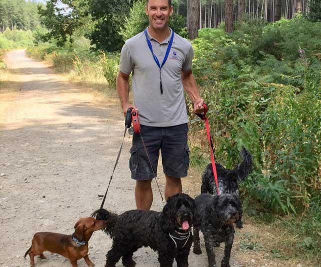 dog walking and training
