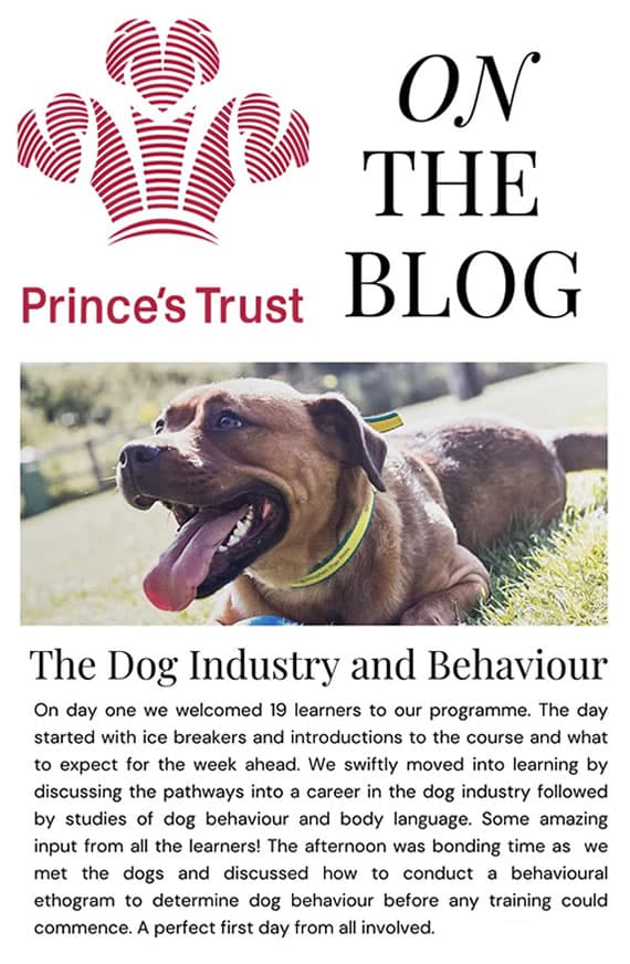 The Fetch & The Prince's Trust Partnership. Day 1