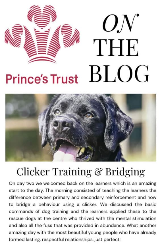 The Fetch & The Prince's Trust Partnership. Day 2