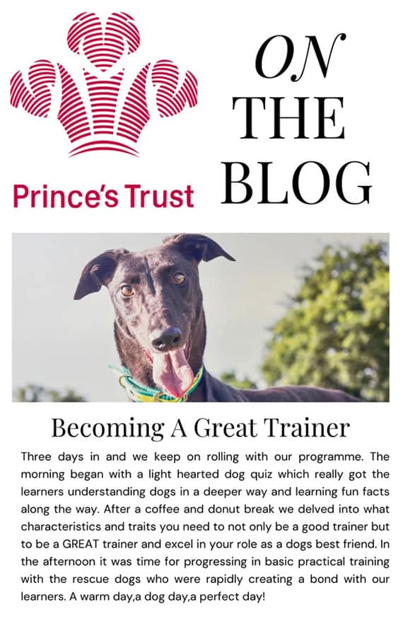 The Fetch & The Prince's Trust Partnership. Day 3