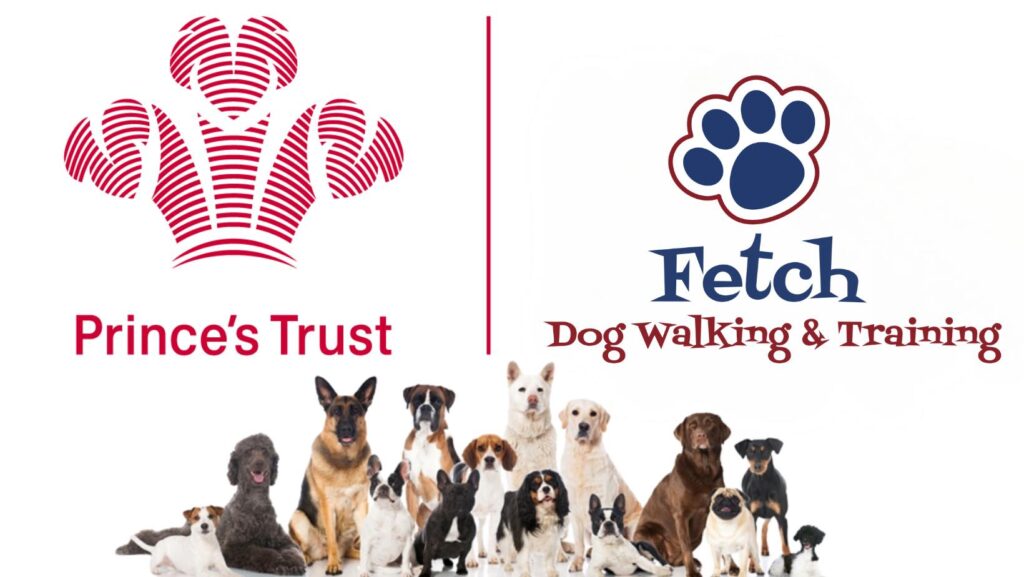 The Fetch & The Prince's Trust Partnership